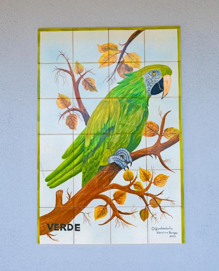 Parrots'Village Rabo de Peixe Bagian luar foto