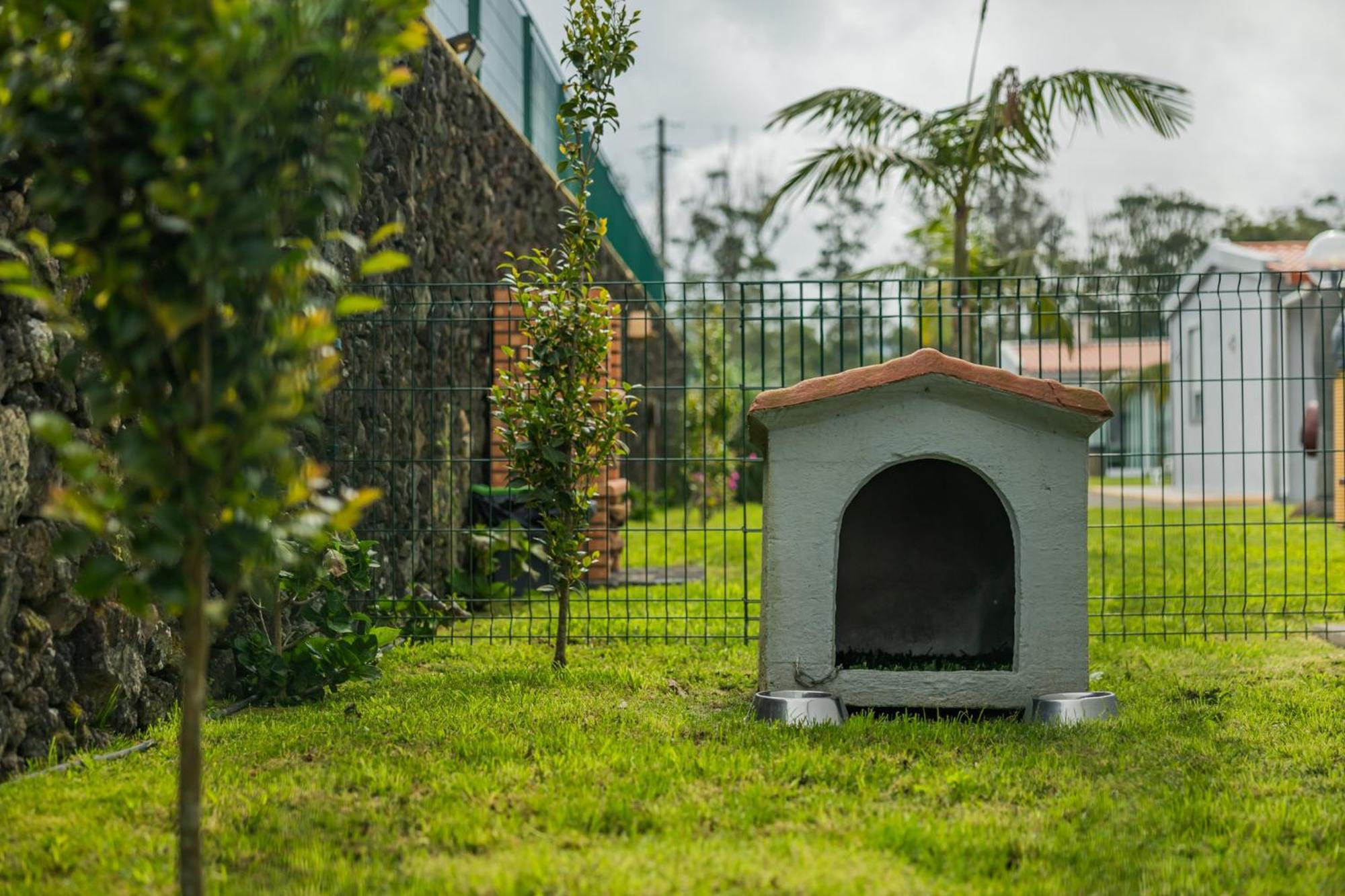 Parrots'Village Rabo de Peixe Bagian luar foto